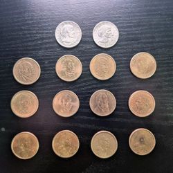 14 Dollar Coin Lot
