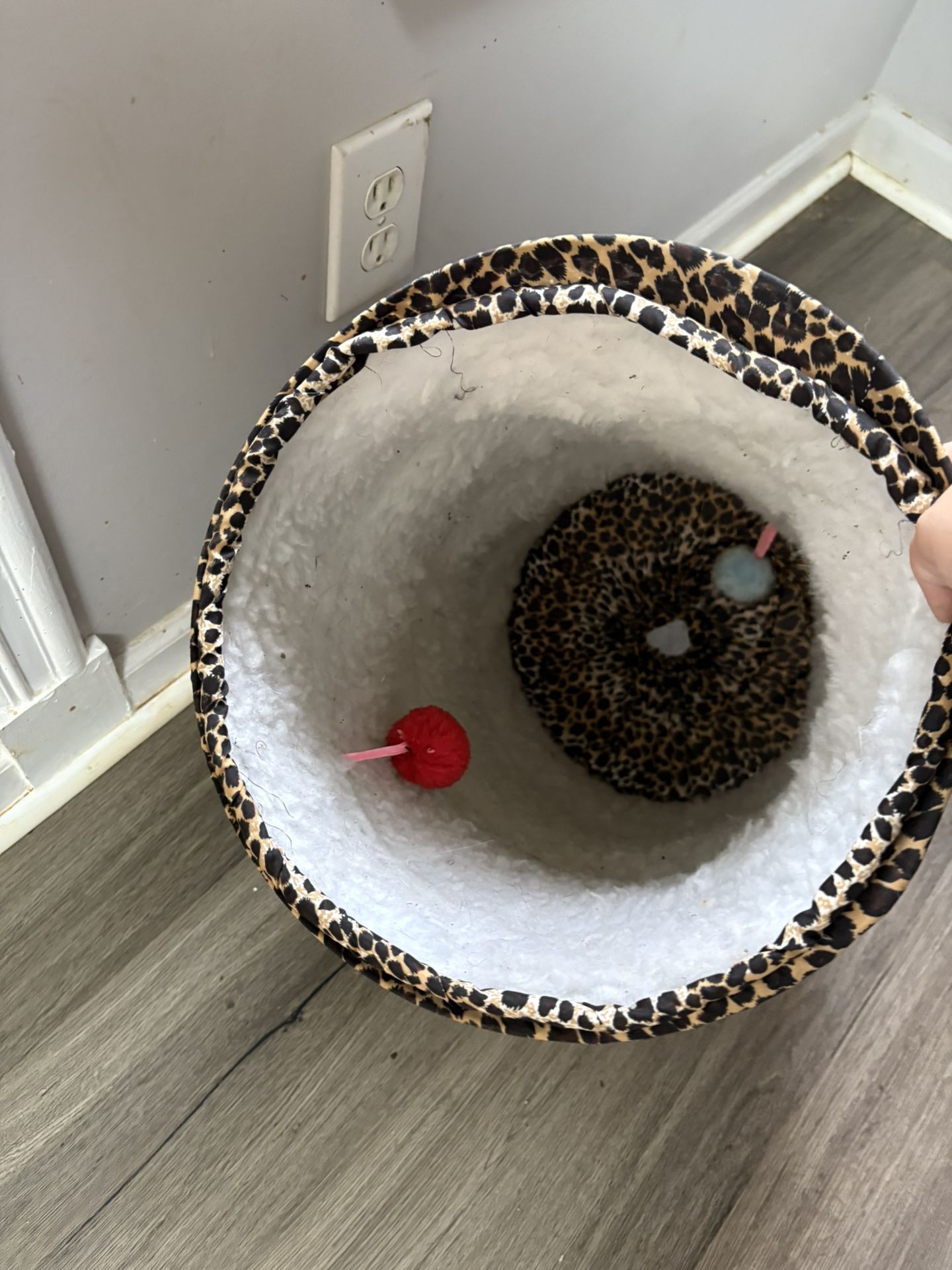 Cat Items