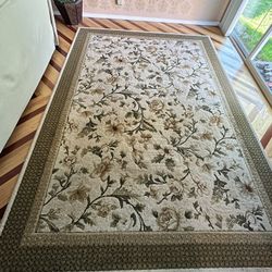 Rug 7x 10