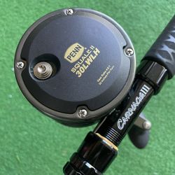 Penn Squall 2 Level Wind Left With Matching Carnage Saltwater Reel Rod Fish Fishing 