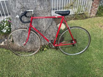 Vintage Schwinn World Sport 12-Speed Road Bike - Red