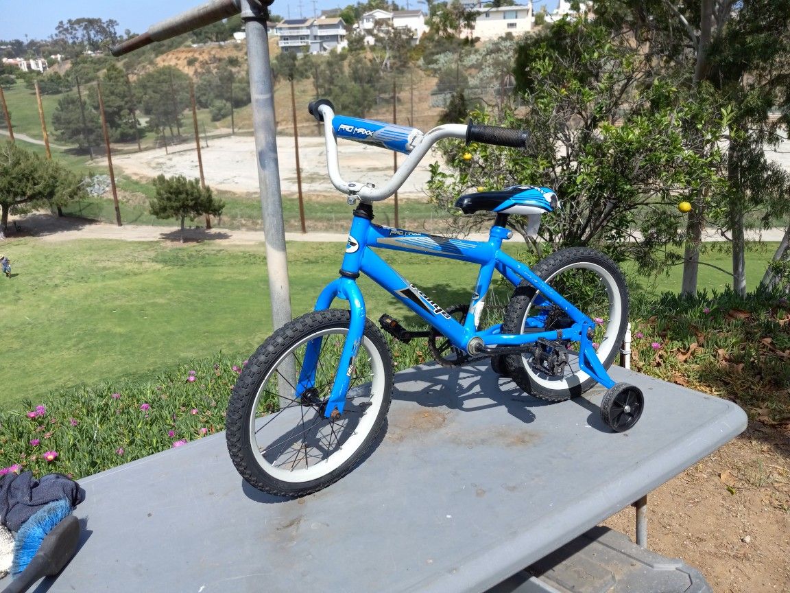 Rallye pro maxx 16 cheap bike
