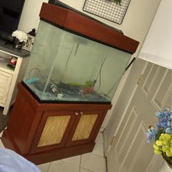 Used 55 Gal Fish Tank