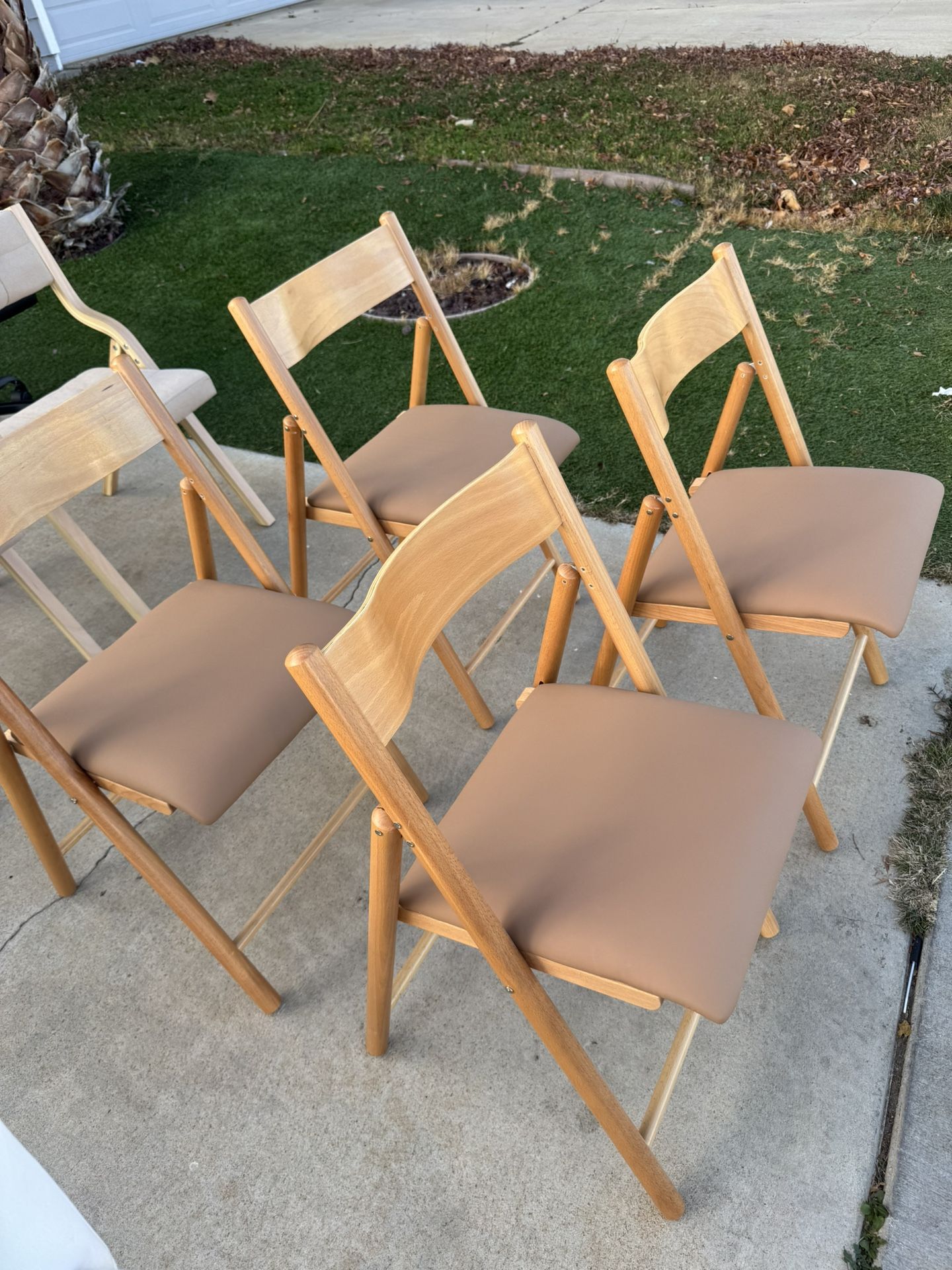 Dining Chairs