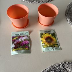 2 Small Plastic Flower Pot