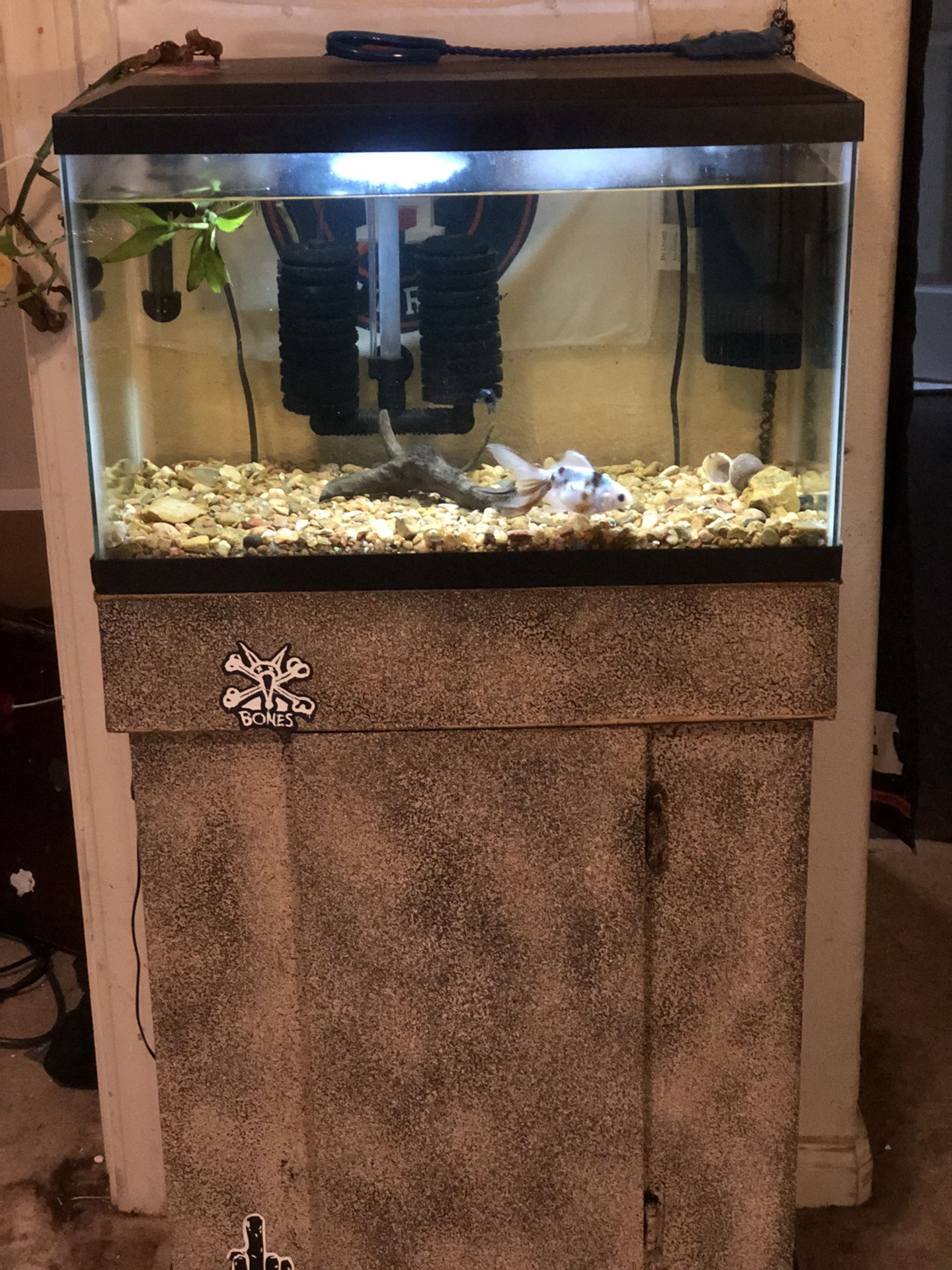 10 gallon tank and stand