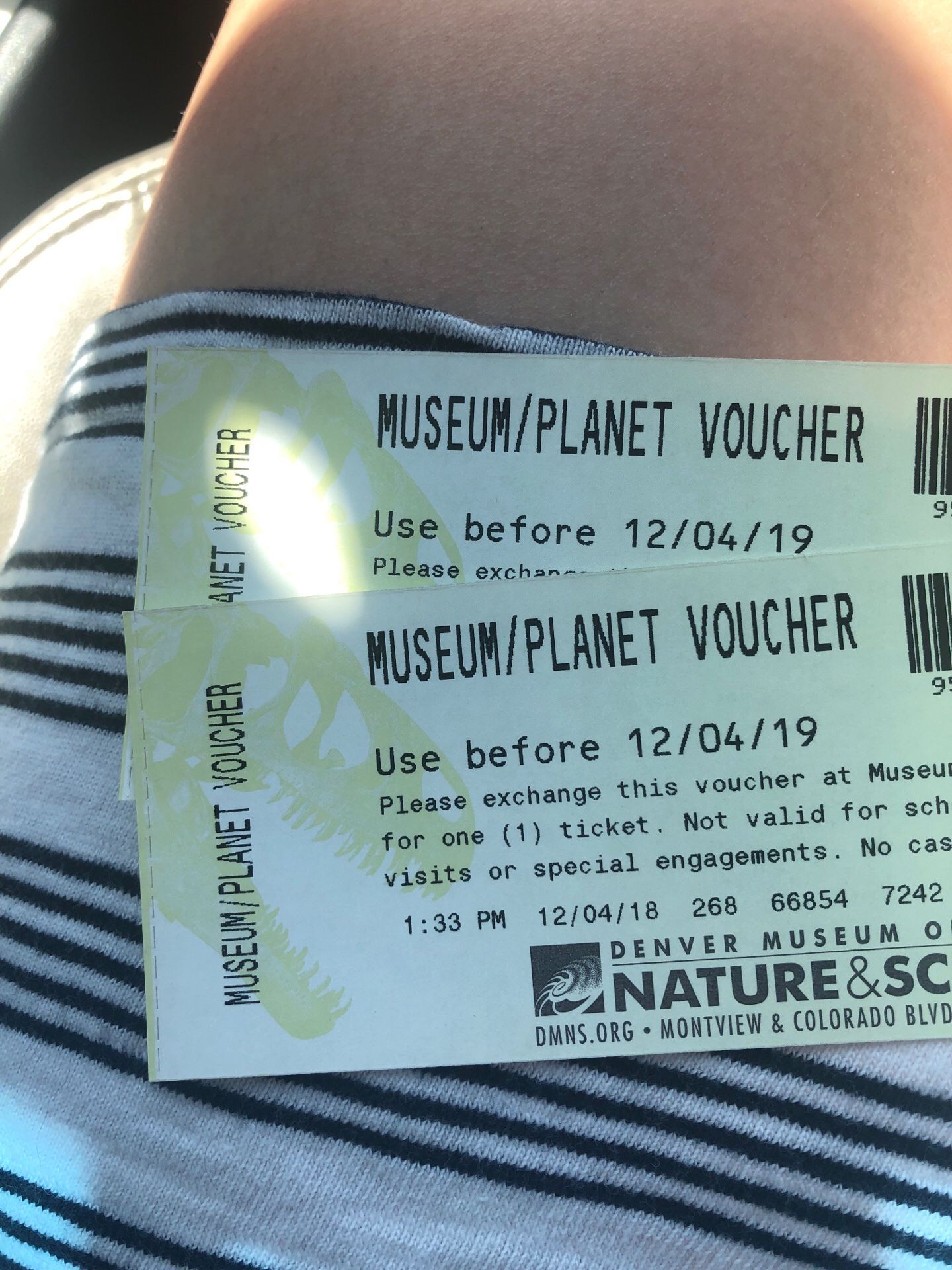 Museum admission tickets for Denver Museum of Nature and Science