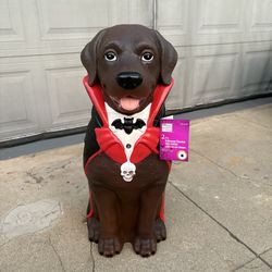 Halloween Chocolate Lab Vampire Light Up Porch Greeter 2.5 ft Dracula Dog NEW