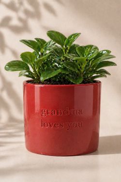 Grandma Loves You Plant Pot 🪴