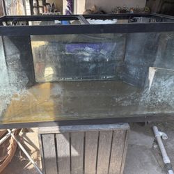120 Gallon Saltwater Tank 