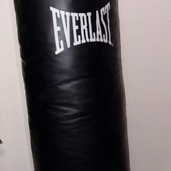 Everlast Punching Bag
