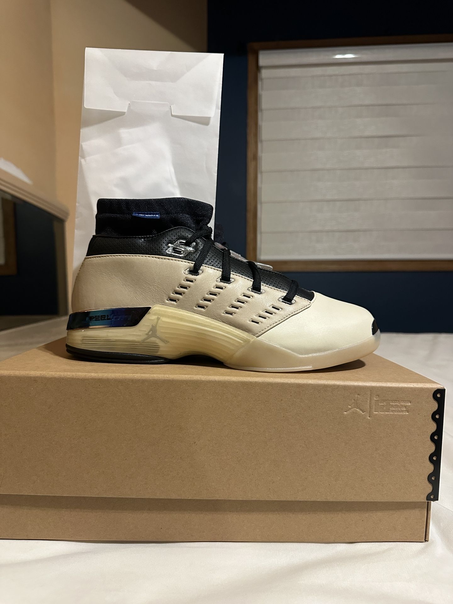 Nike Air Jordan XVII 17 Low Infinite Archives Size 10.5