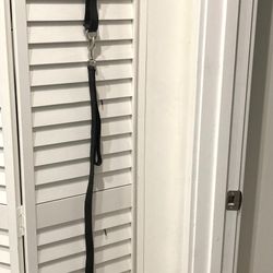 Training Dog Leash & Collar