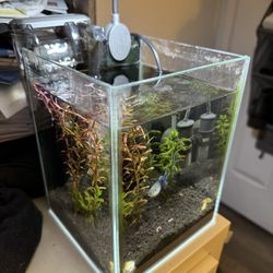 1.5 Gallon Aquarium Fish Tank with gravel, Fish, plants, filter and led light. 