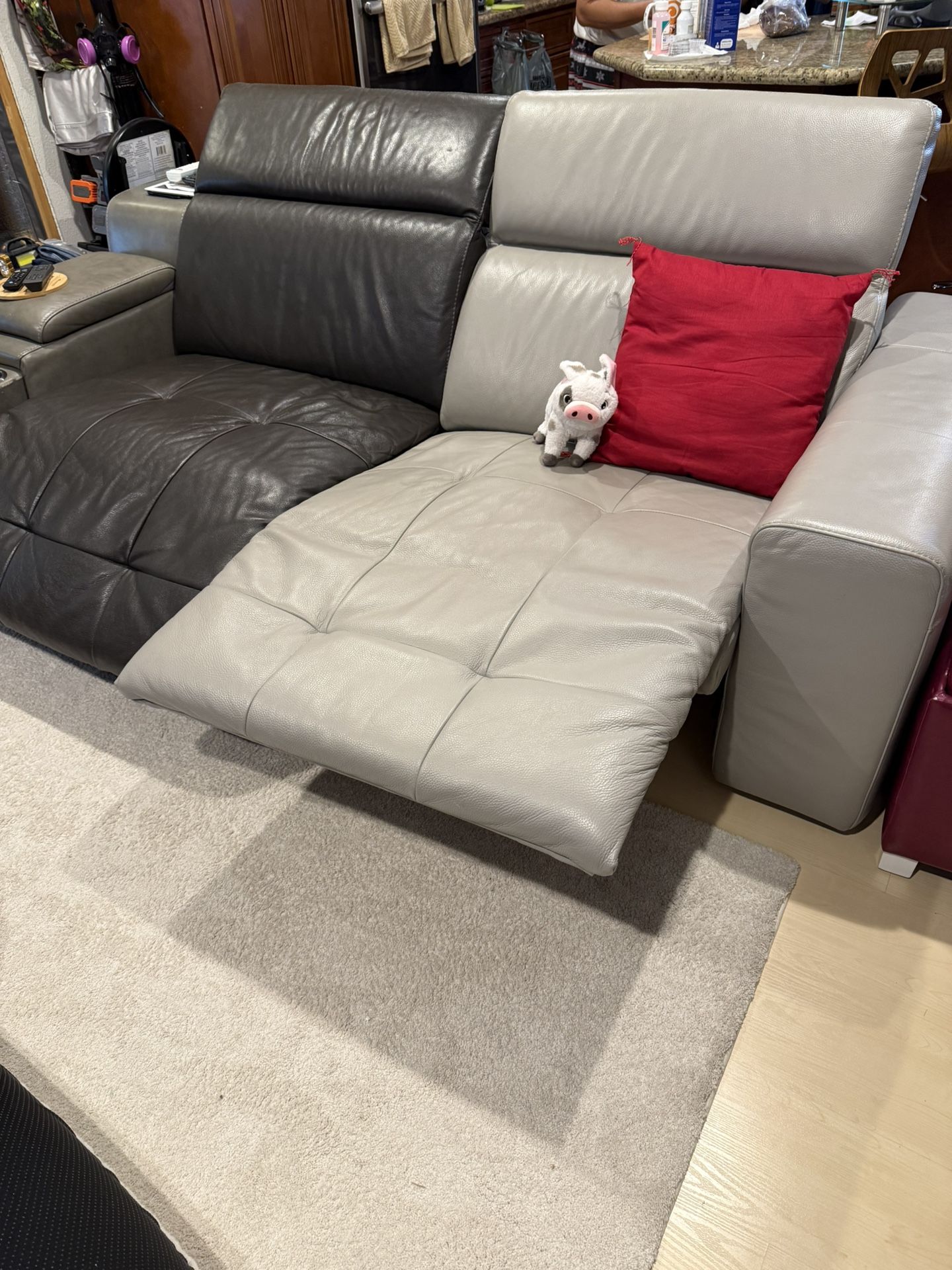 Two Color Reclining Couch