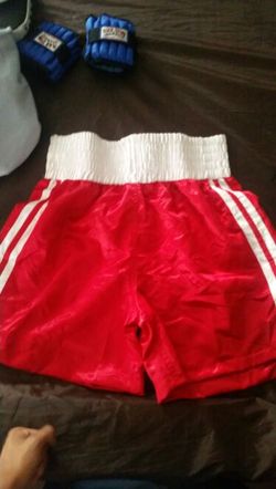 2 pairs of boxing shorts