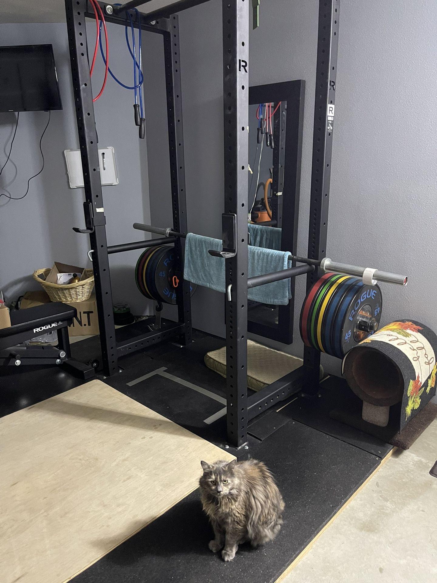 ROUGE GYM EQUIPMENT