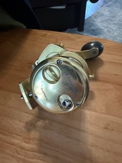 Gold shimano Trinidad 14tn