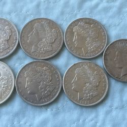 Morgan And Peace Silver Dollars 