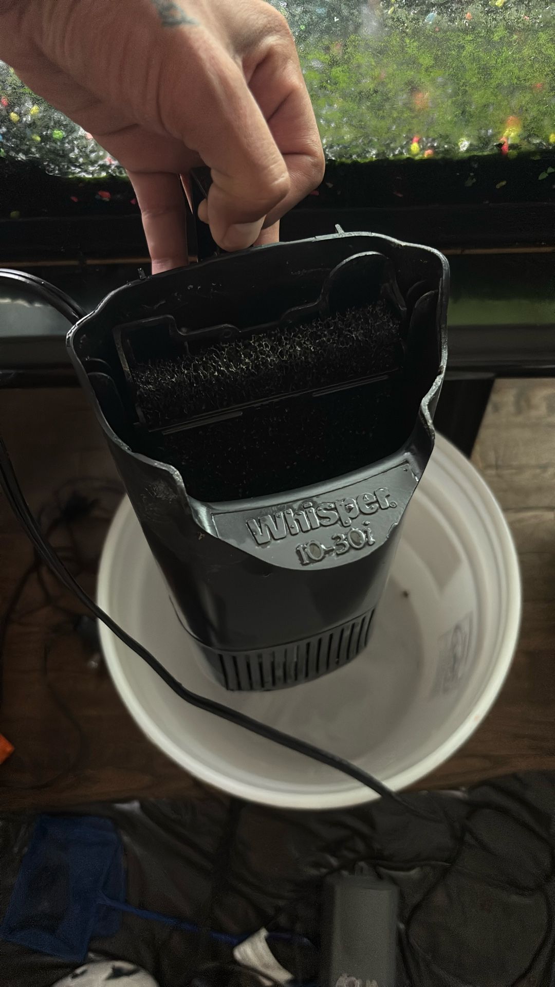 Fish Tank Supplies