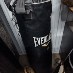 Everlast Punching Bag