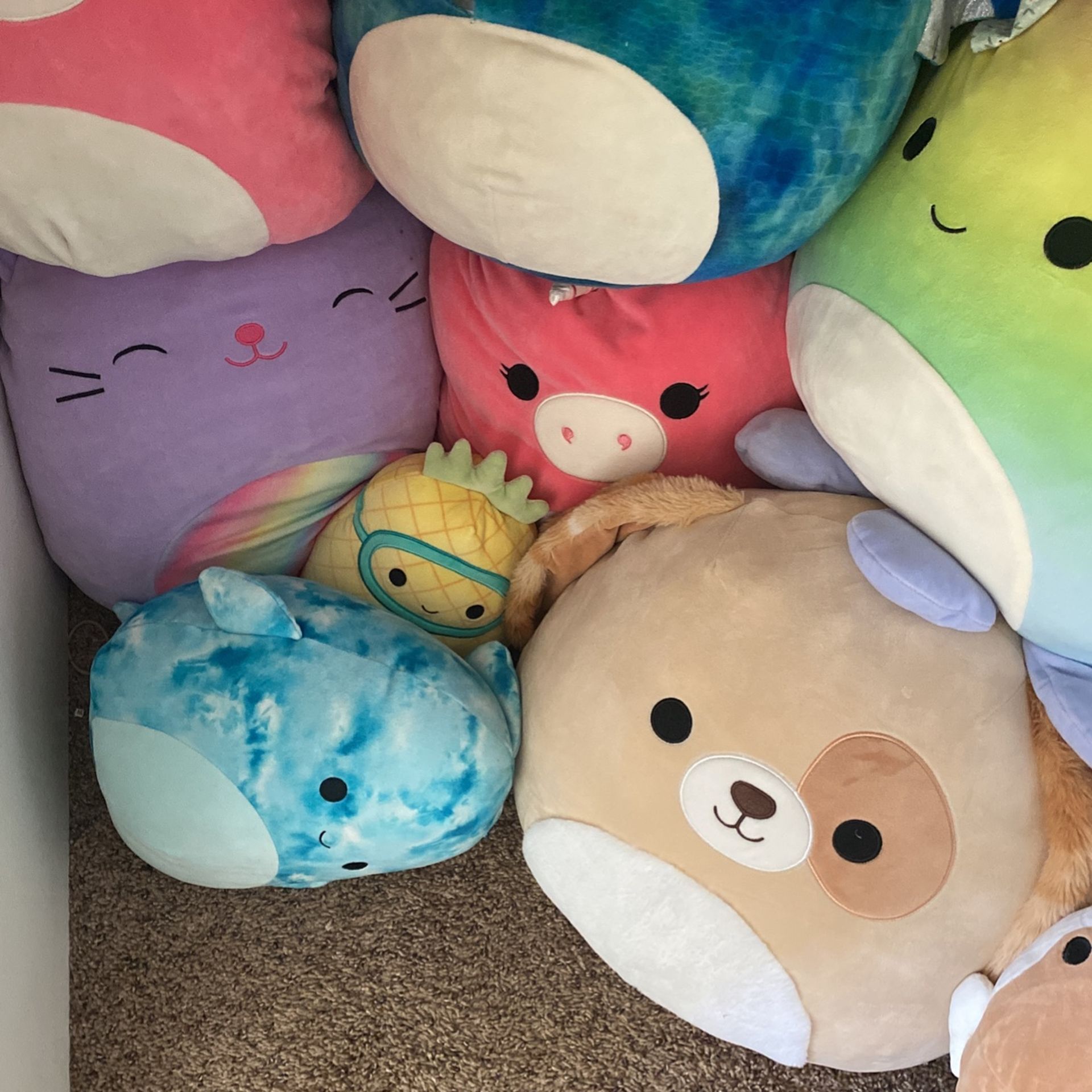 Mix Squish mallows for Sale in Mesa, AZ OfferUp