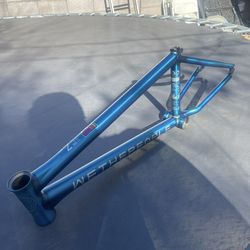 WeThePeople frame