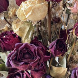 Dry Flowers And Vase 