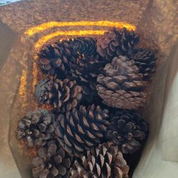 Free Pine Cones For Crafting