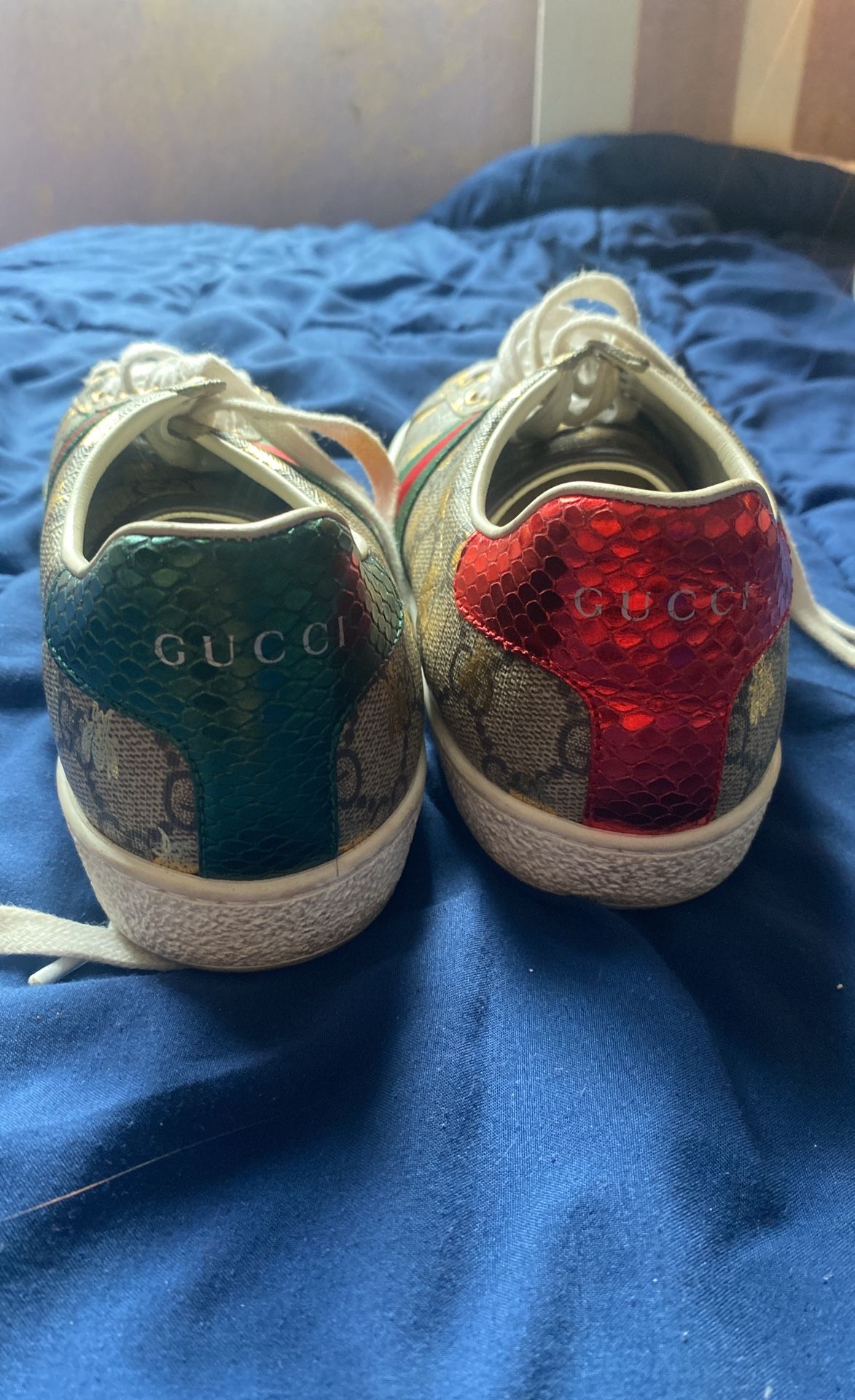 gucci Shoes 