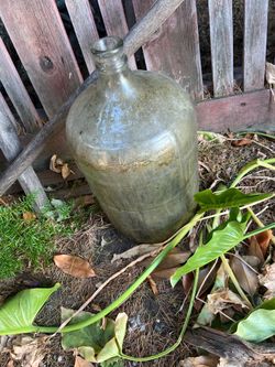 glass jug- Carboy