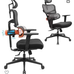 Newtral Ergonomic Lumbar Support Adjustable Chair