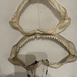 Jaws
