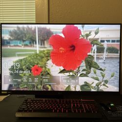 LG Gaming Monitor 