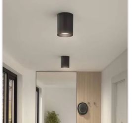 Outdoor/indoor canister light
