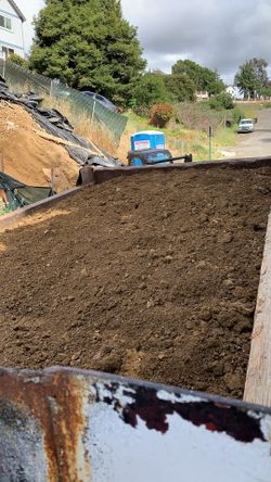 Free Clean Dirt And Free Delivery