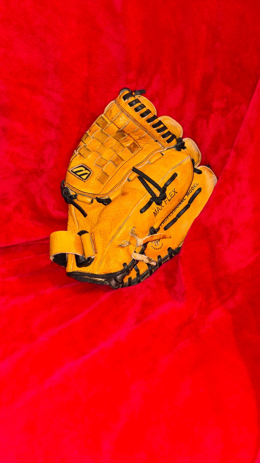 Mizuno Baseball Glove