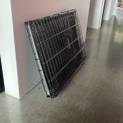 Collapsable Dog Crate