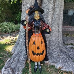 Very Unique Whimsical Witch With A Blow Mold Jack-o-lantern As Her Dress That Lights Up See Description For More Information