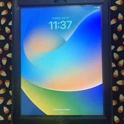 Apple iPad 5th Generation 128GB Unlocked Like New!