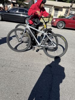 Frame trade 29 inch throne