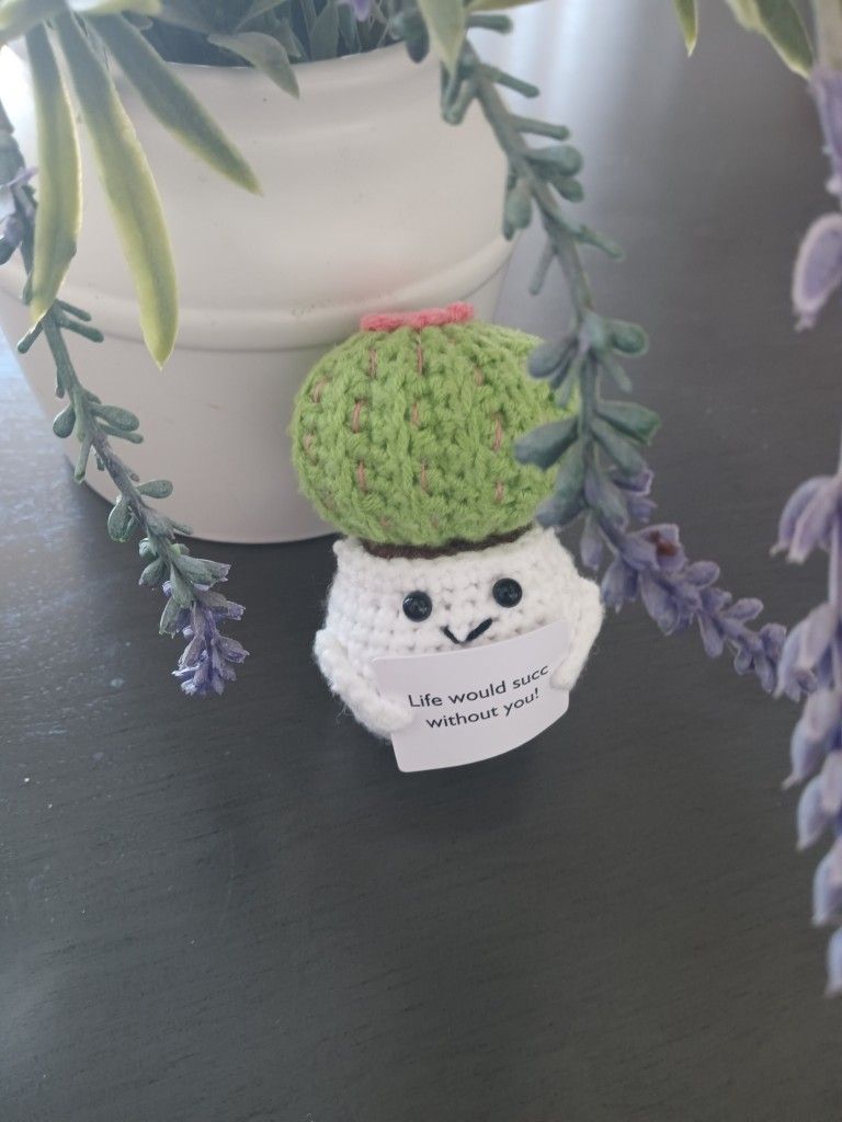 Crocheted Succulent