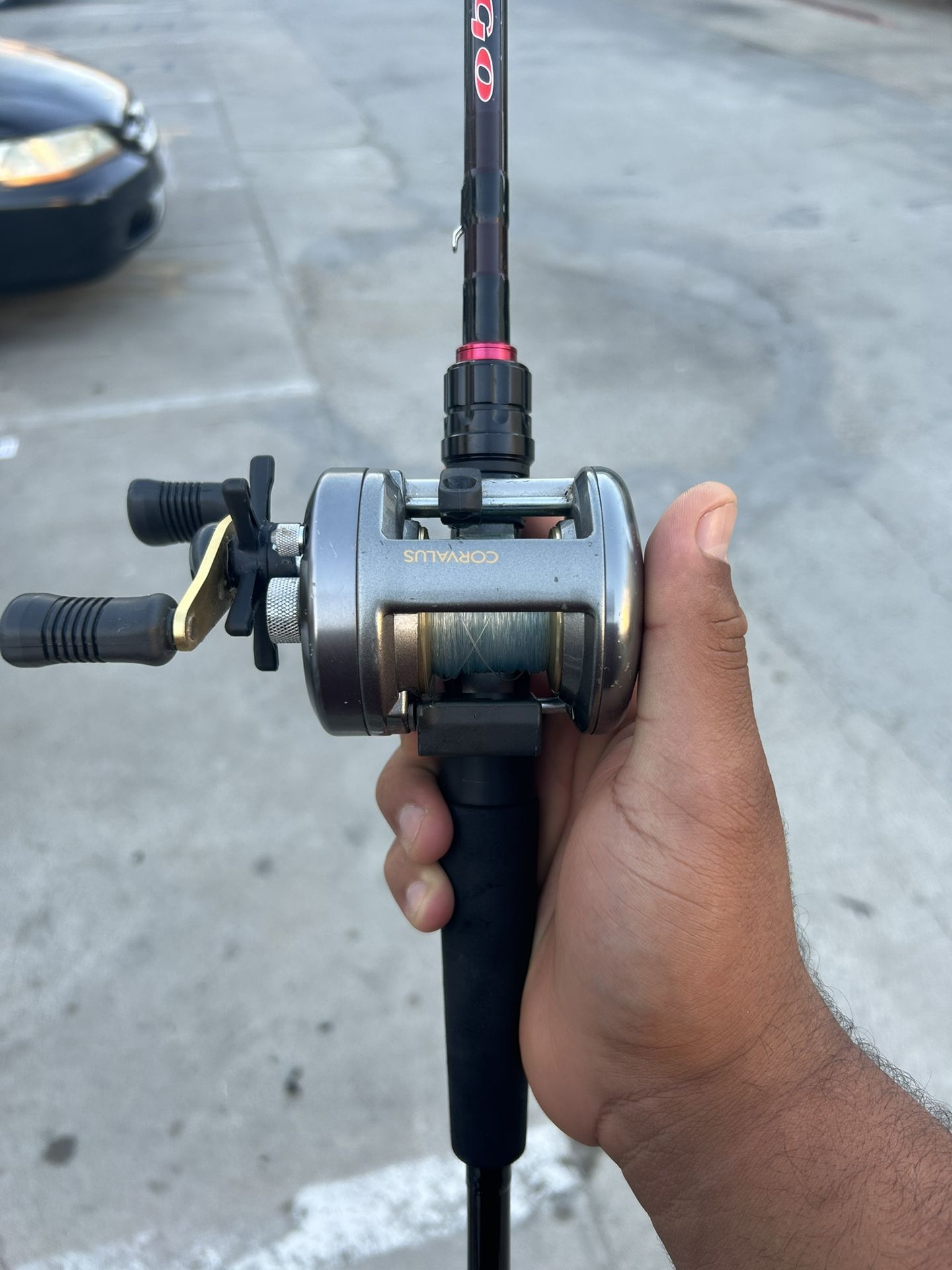 Lure Setup Fuego Rod And Shimano Corvalus Reel 