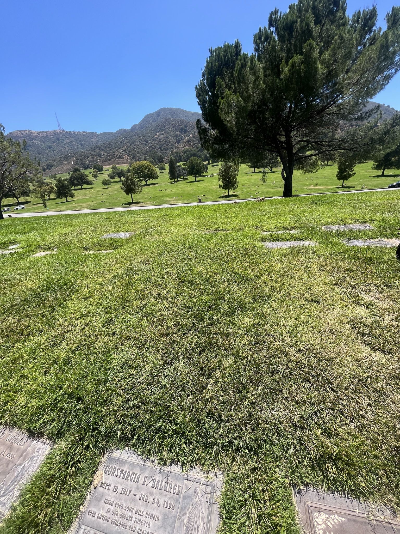 Forest Lawn Hollywood Plot for Sale
