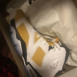Jordan 6s 