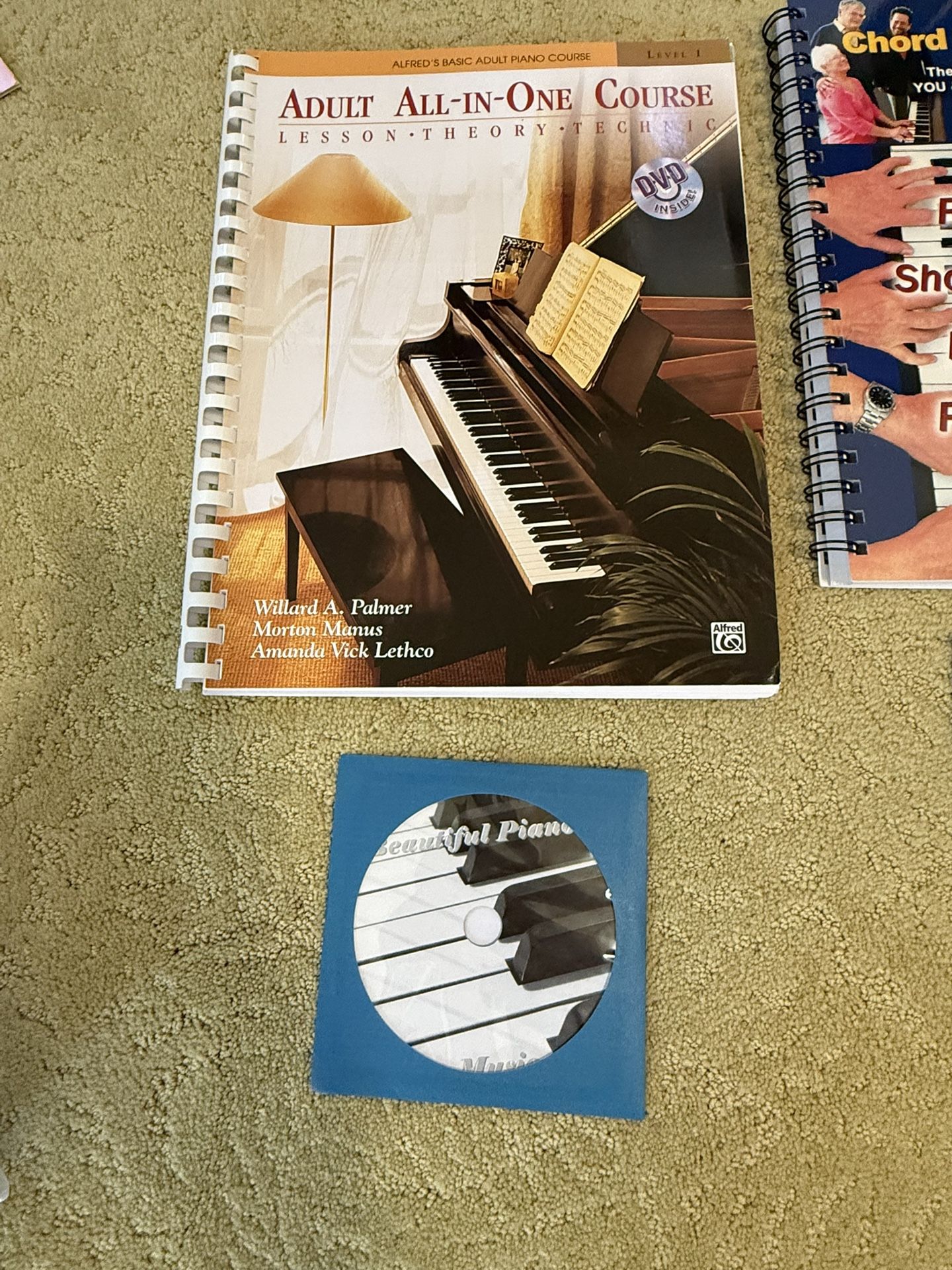 Alfred's Basic Adult All-In-One Piano Course: Lesson, Theory, Technic