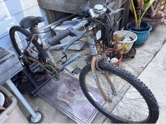 Bike and trainer