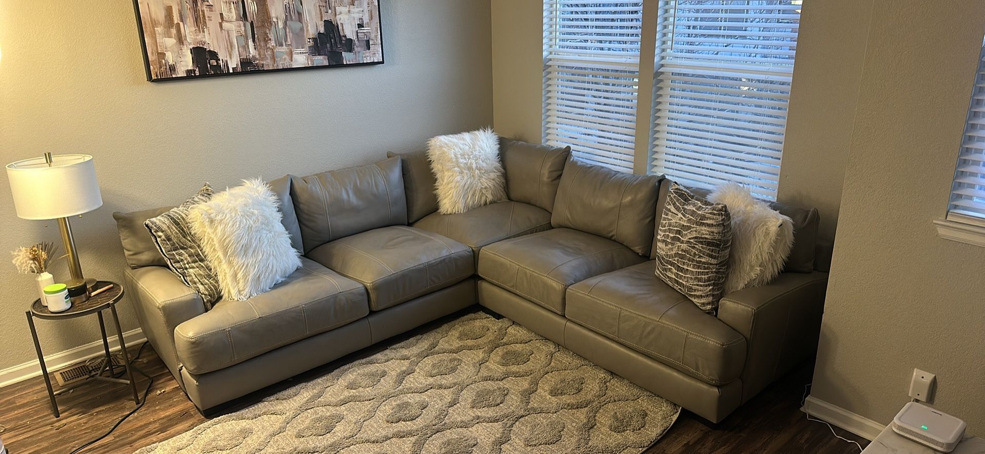 Sectional Couch