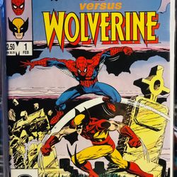 Marvel Comics #1A Spider-Man vs. Wolverine, Vol. 1 High Tide  Death of Hobgoblin (Ned Leeds) 🔑