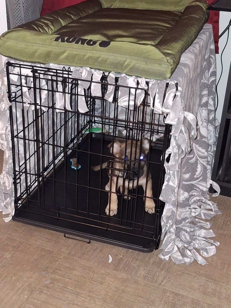 Dog Crate with Bed, 30 X 19 X 21